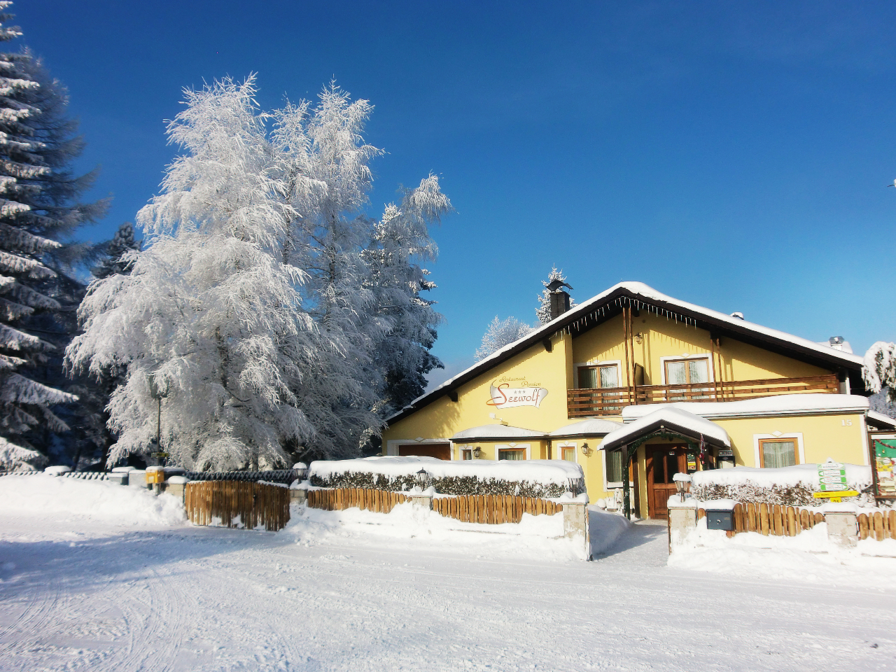 Unser Haus mit den vereisten Birken und dem verschneiten Rasen