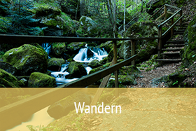 Wanderschuhe mit Wackelsteinen